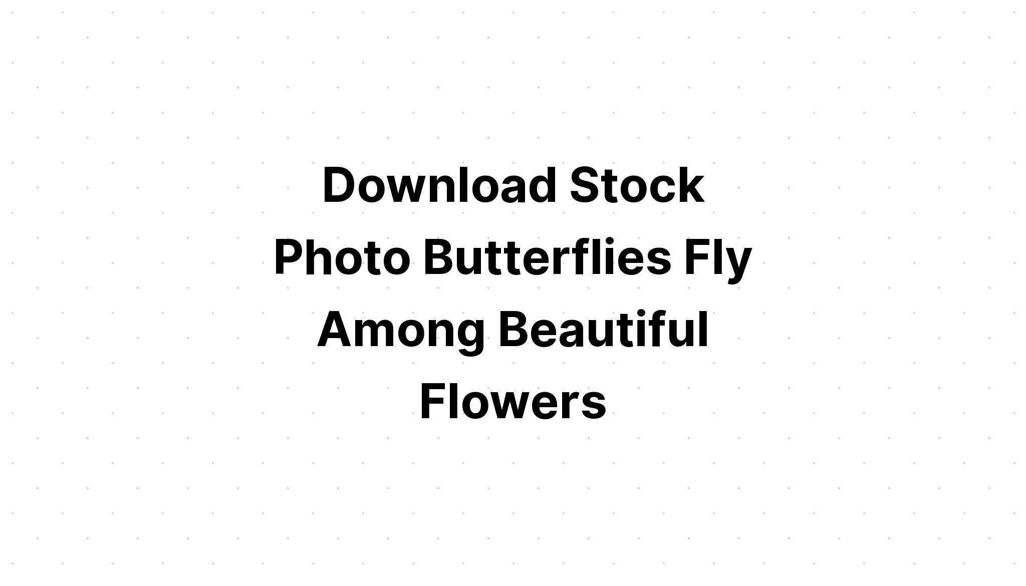 Download Beautiful Detail Butterfly Bundle SVG File